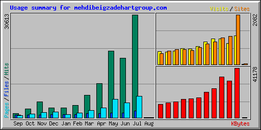 Usage summary for mehdibeigzadehartgroup.com